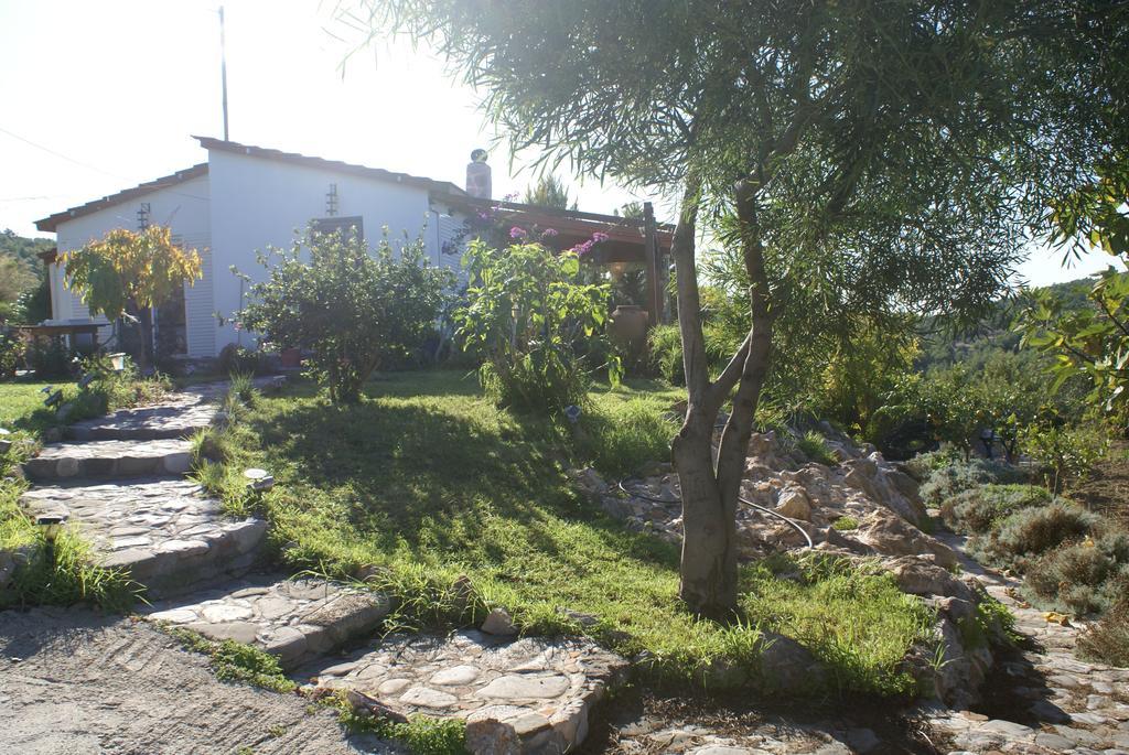 O Ioannis Villa Kritinía Екстериор снимка