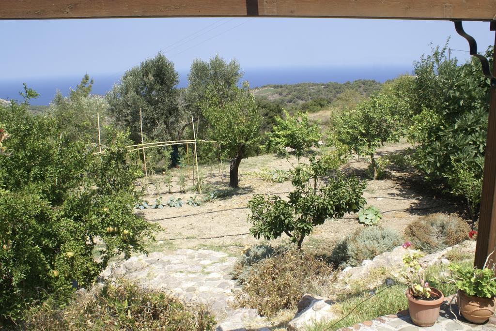 O Ioannis Villa Kritinía Екстериор снимка